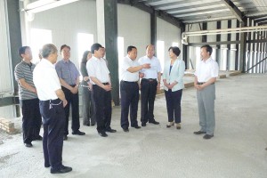 副省长张建欣调研